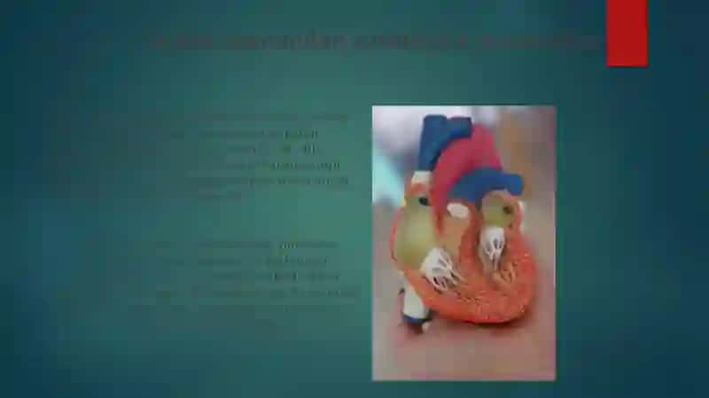Biologiyani o‘qitishda moddiy texnika bazasidan foydalanish 4