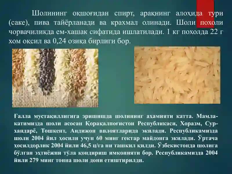 Шоли биологияси ва етиштириш технологияси 4