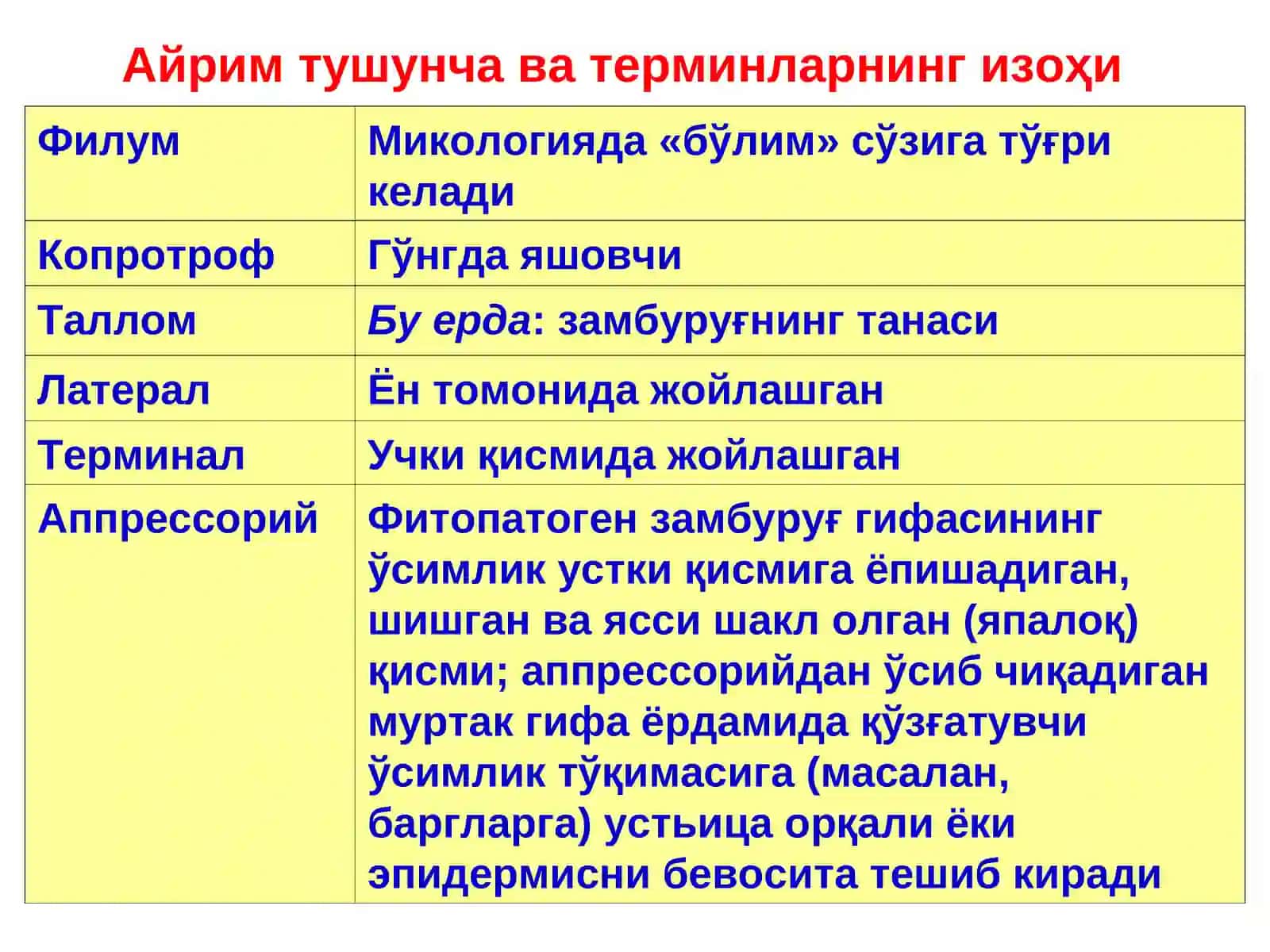 Тубан замбуруғлар ва замбуруғсимон организмлар.ProtozoavaXromistaдунёлари 4
