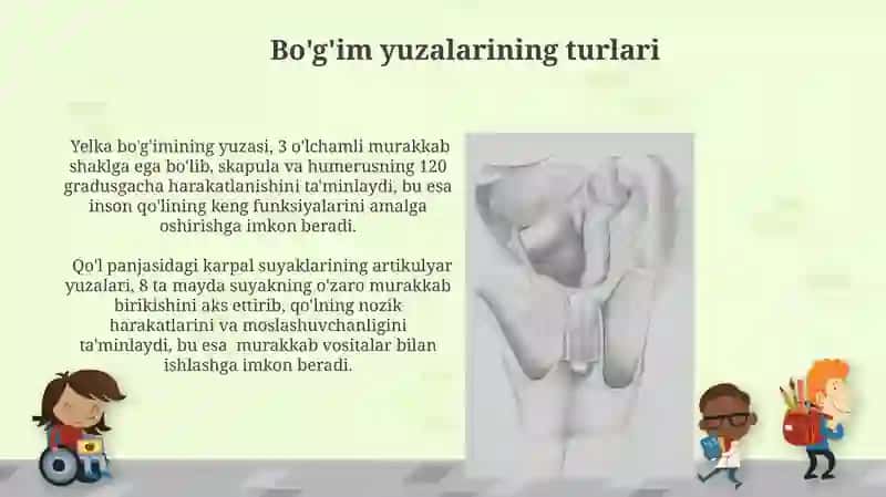 Suyak to‘qimasi 4