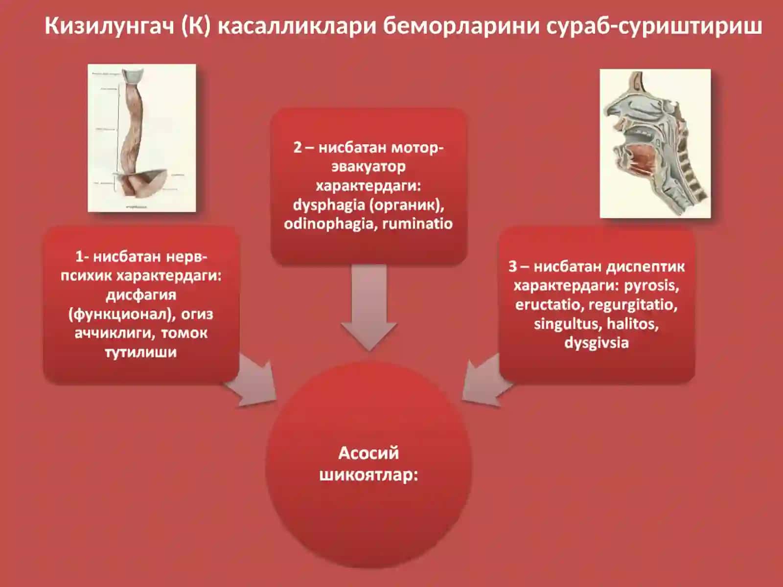 "Хаетини тиббиетга тикканлар учун" 4