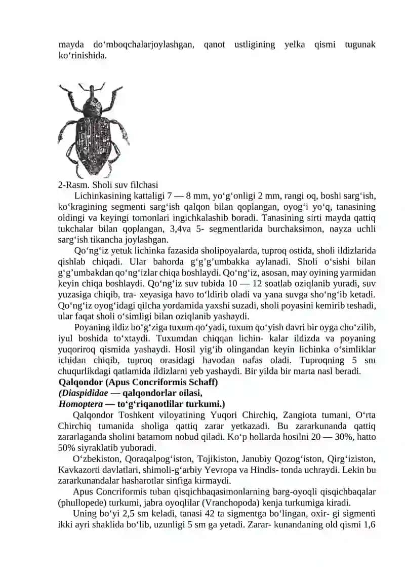 BOSHOQLI DON EKINLARI ZARARKUNANDALARI VA ULARGA QARShI KURASh 4