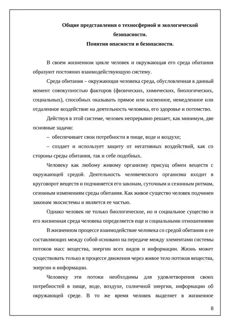 Реферат "Безопасность как одна из основных потребностей" 4