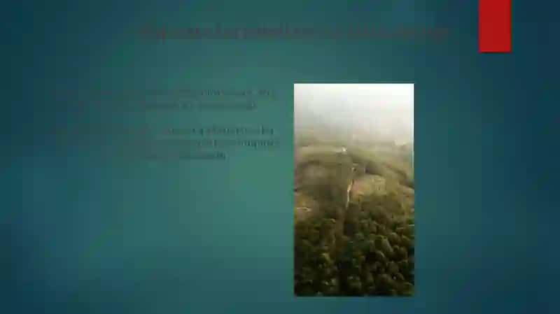 Honduras davlatining bojxona siyosati tahlili 4