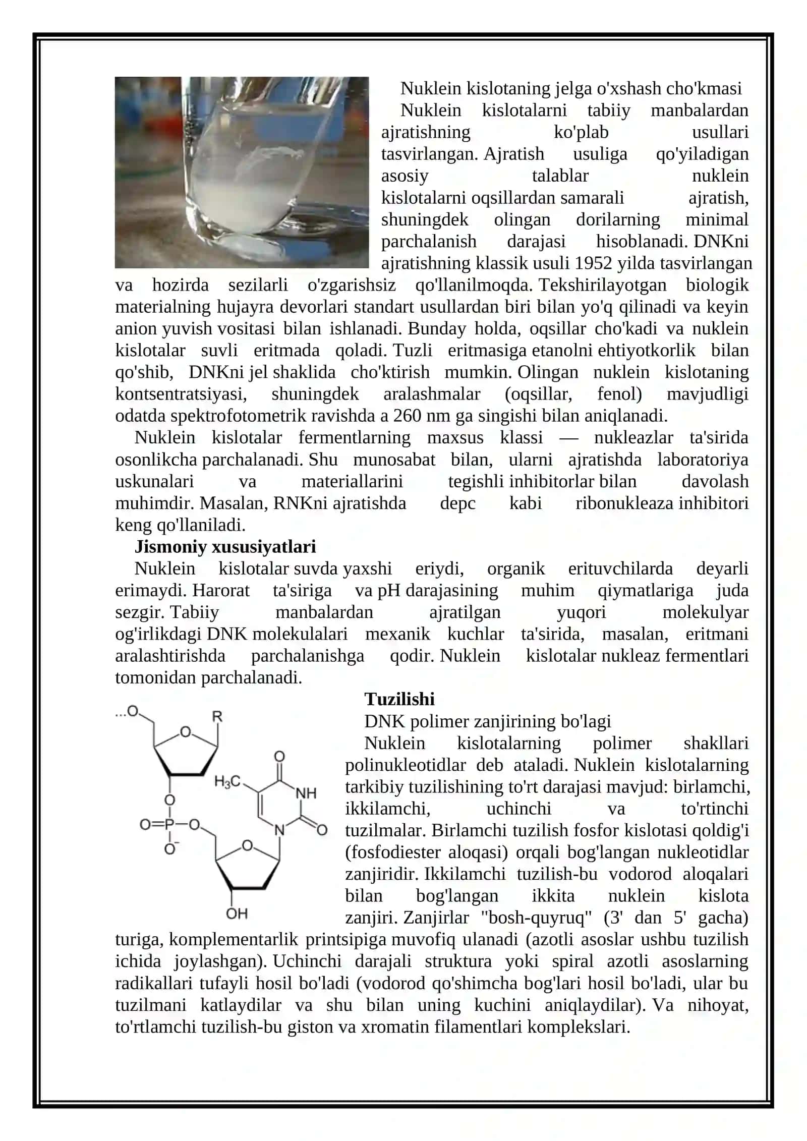 Nuklein kislotalar.Fermentlar.Lipid va lipoidlar 4
