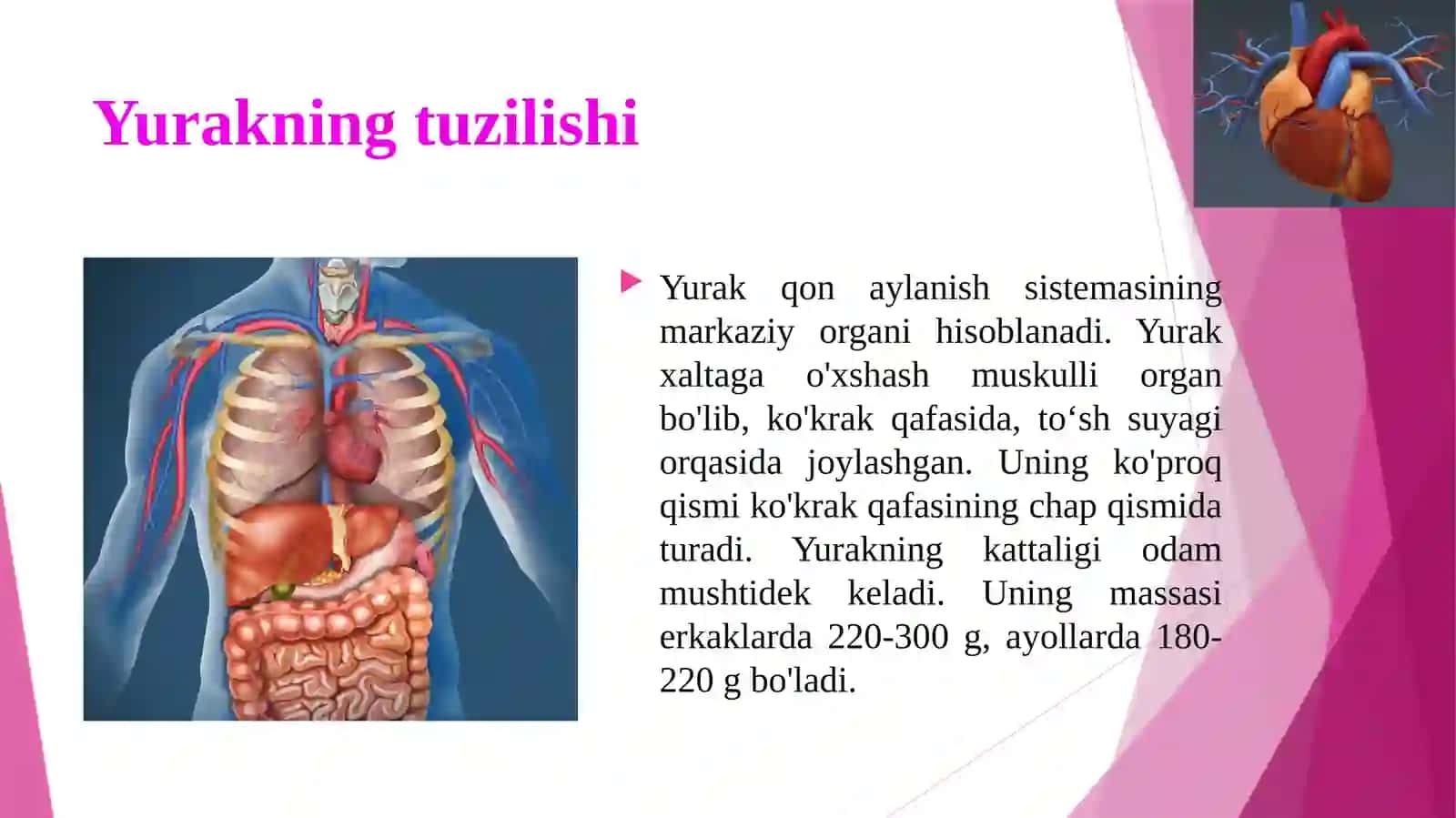 Qonaylanishiningahamiyati, yurakning tuzilishi 4