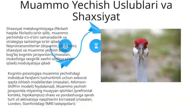 Kognitiv psixalogiyada shaxsga yondashuv 4