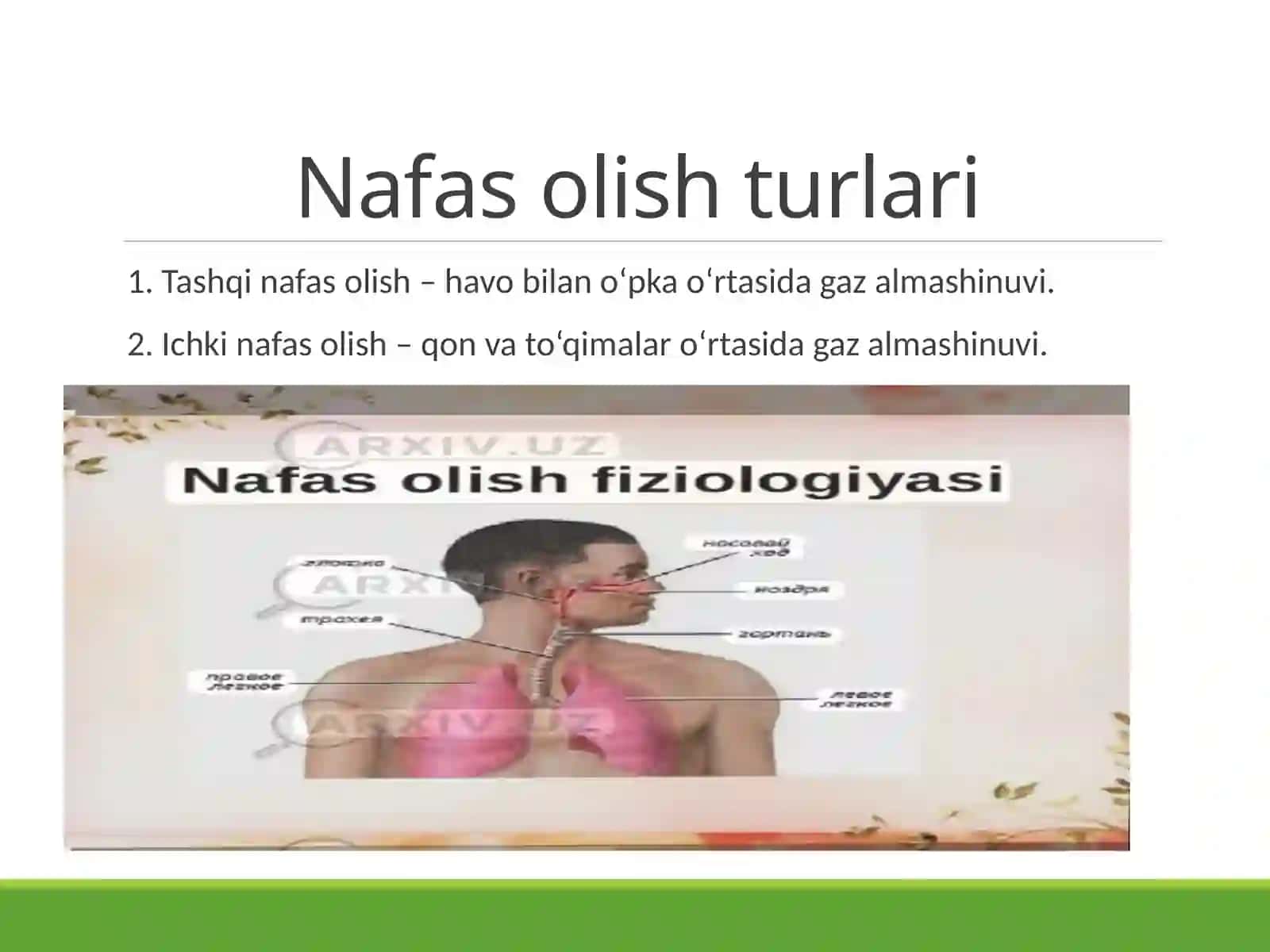 Nafas olish turlari va ularga to'liq ta'rif berish 4