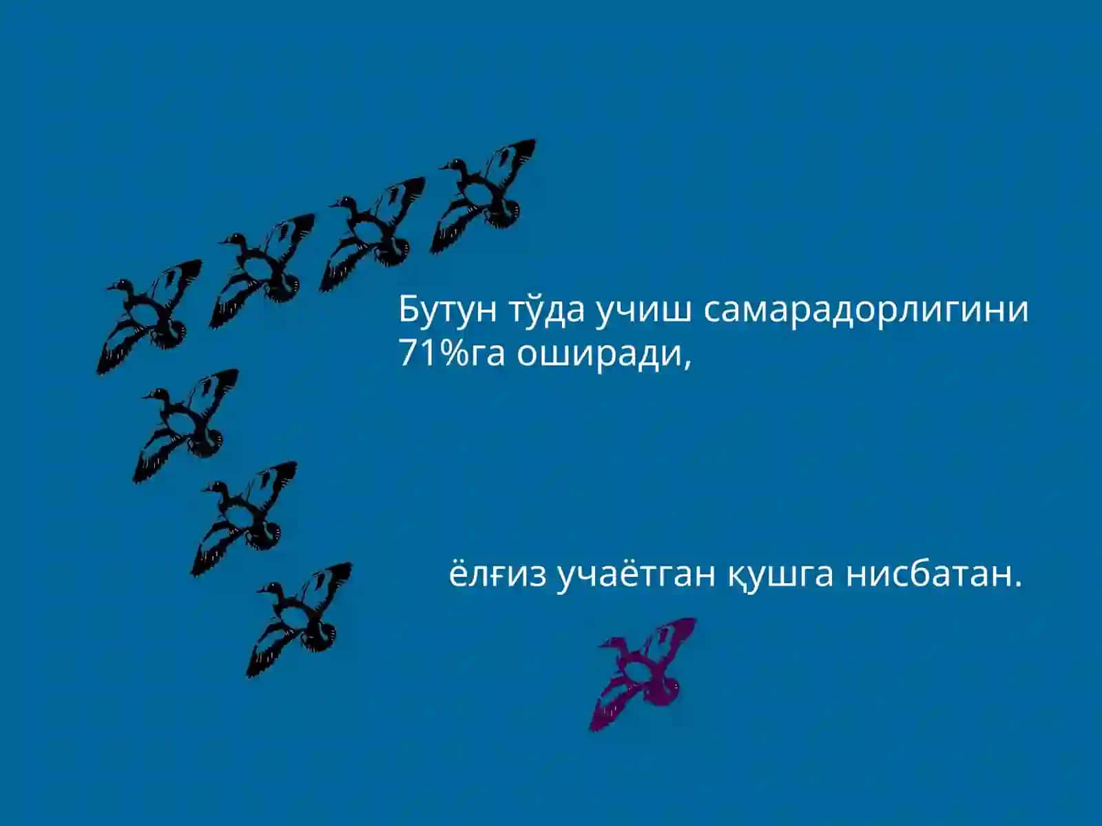 Агар дўстларимиз ва ҳамкасбларимиз билан муносабатимиз ғозлар каби бўлганда эди 4