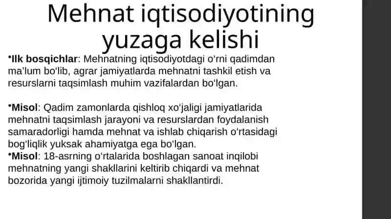 Mehnat iqtisodiysi 4