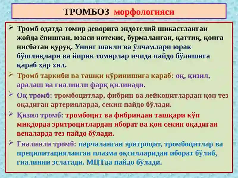 Тромбоз. Эмболия. Стаз. Инфаркт 4