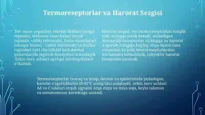 Teri funksiya anatomiyasi dermani 4