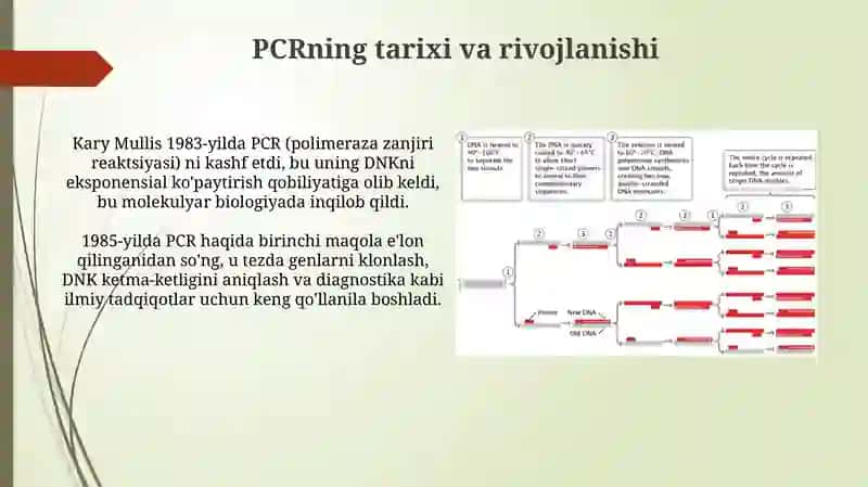 Molekulyar biologiya sohasida PZR usuli va uning fan rivojidagi yutuqlari 4