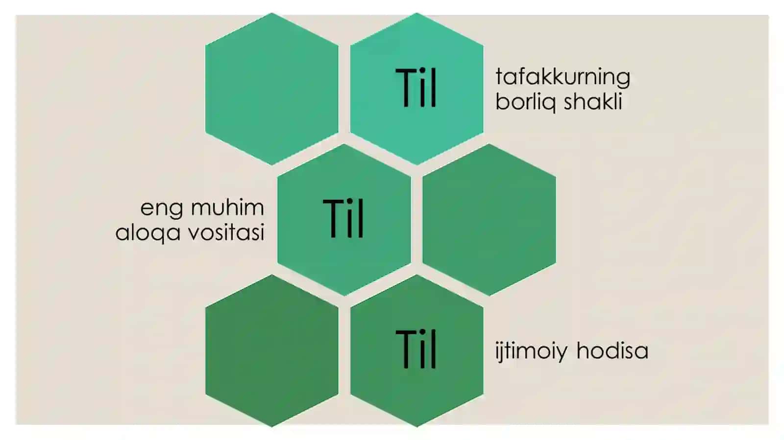 Til va tafakkur munosabati 4