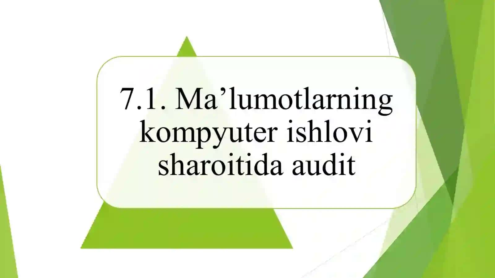 XALQARO AUDIT AMALIYOTI YUZASIDAN YO’RIQNOMA 4