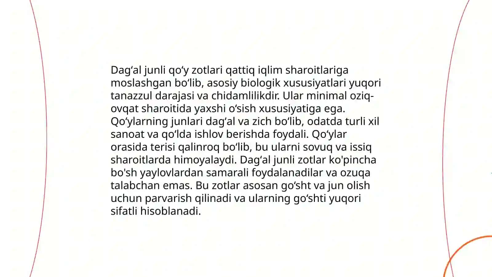 Dagʻal junli qoʻy zotlari 4