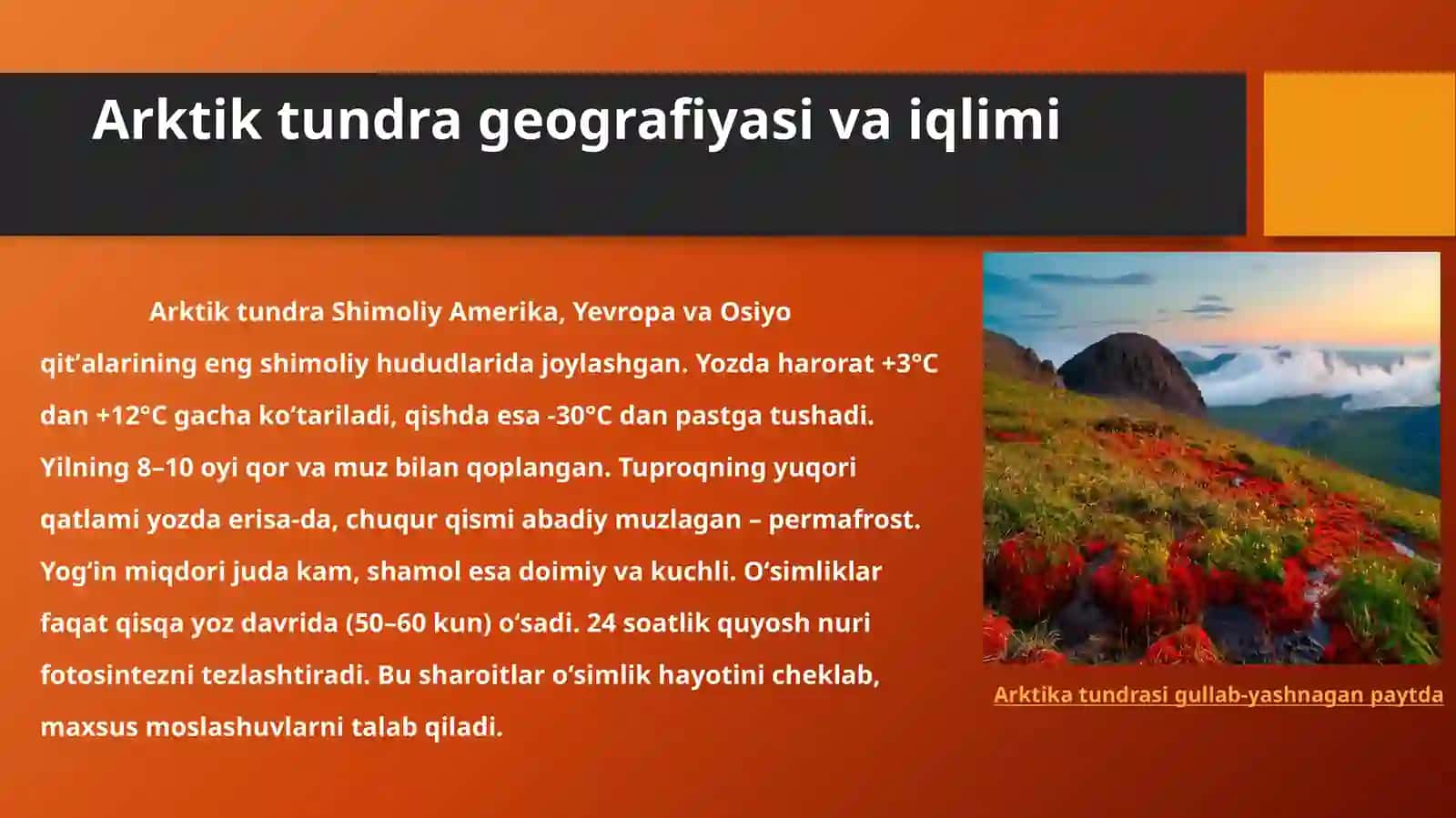 Arktik Tundra mintaqasi oʻsimliklarini organish 4