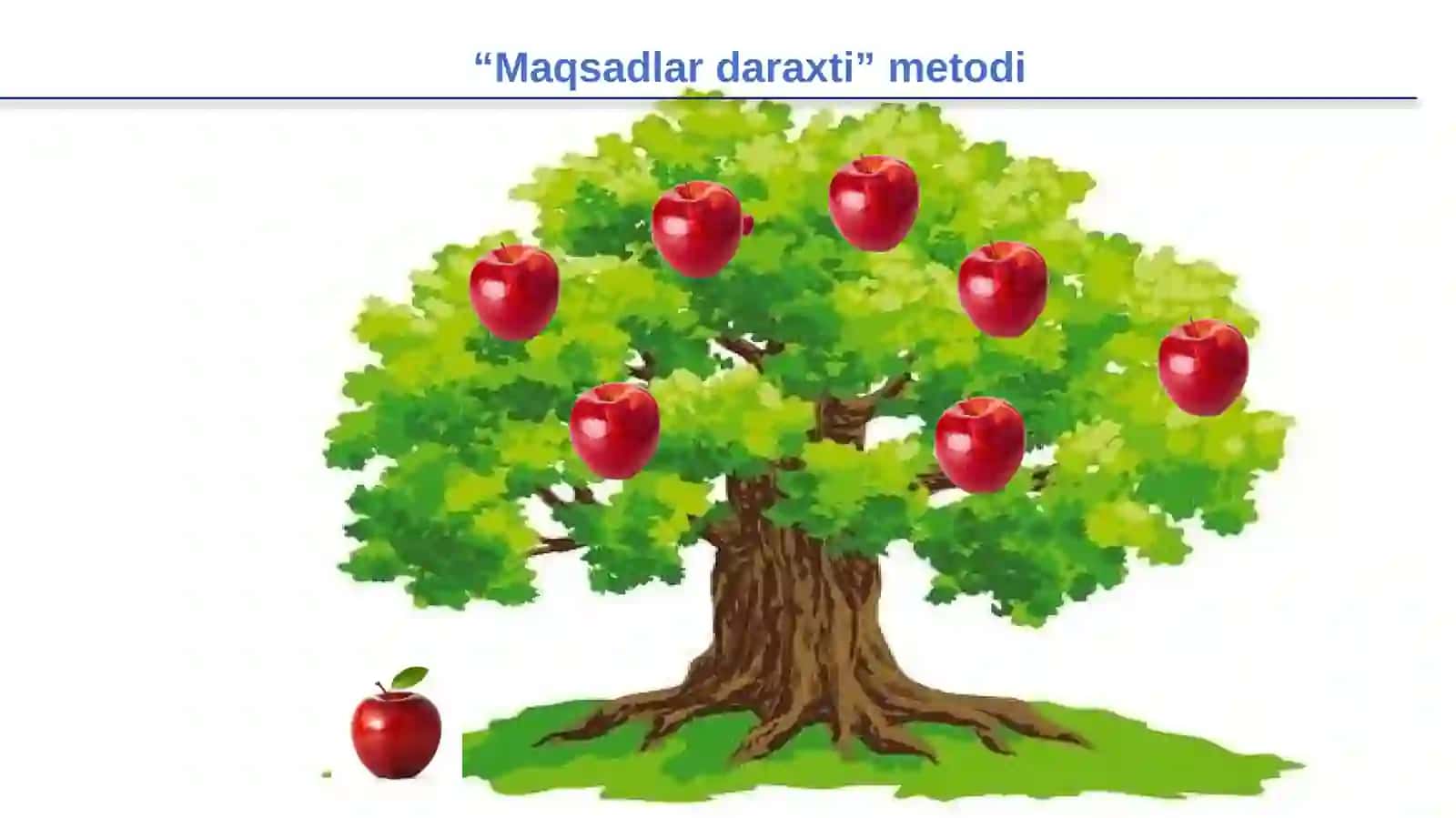 Ovqat hazm qilish sistemasi organlari tuzilishi va funksiyasi 4
