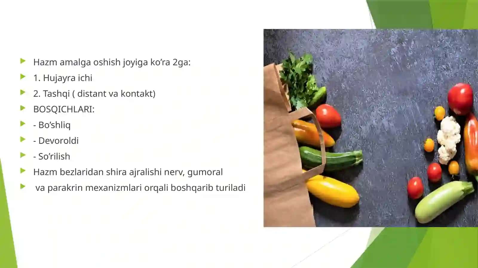 Mustaqil IShM: Hazm fiziologiyasi 4