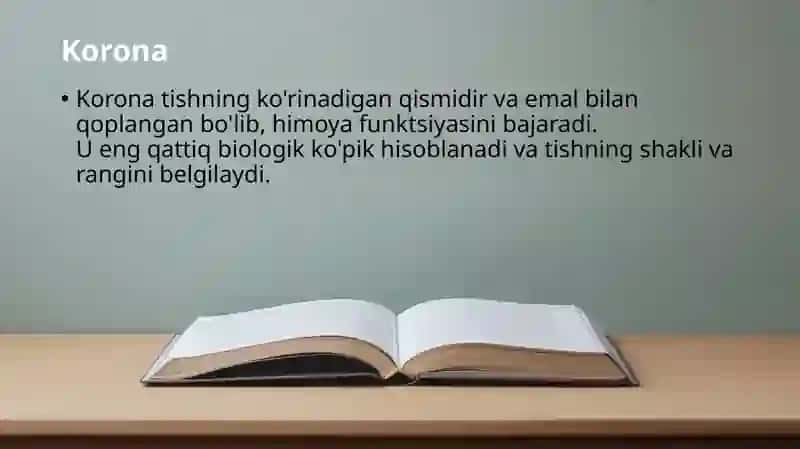 Tishlarning anatomik, morfologik va gistologik tuzilishi 4