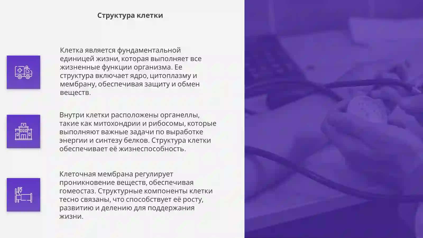 Клетка 4