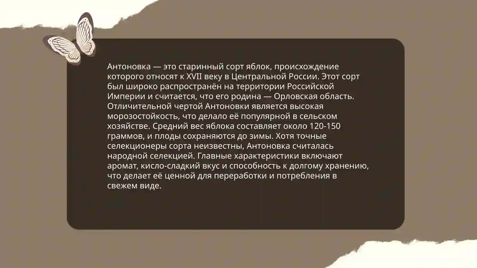 Антоновский яблоки 4