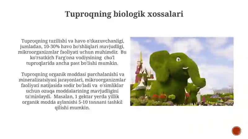 O'simlik O'sishi va Rivojlanishi 4