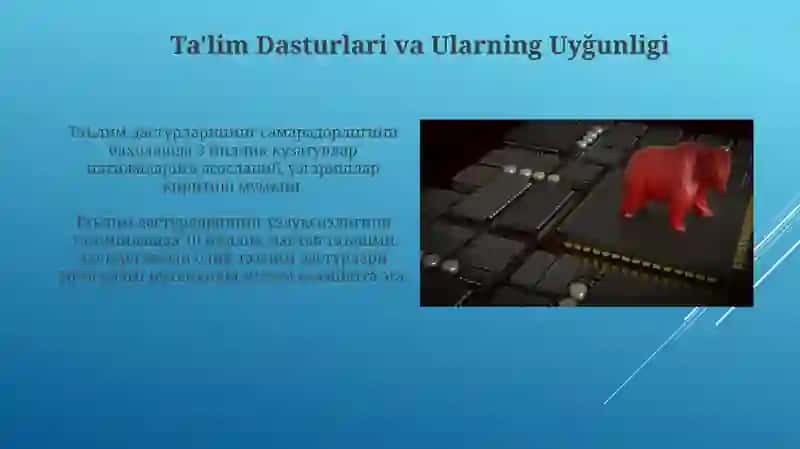 Talim tizimida uzluksizlik 4