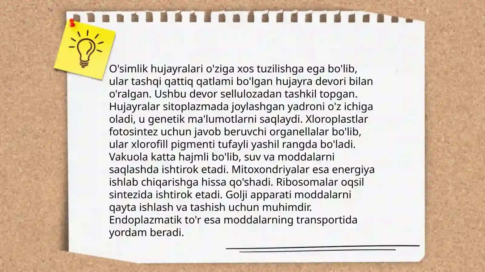 Yashil o'simliklarning fotosintezi 4