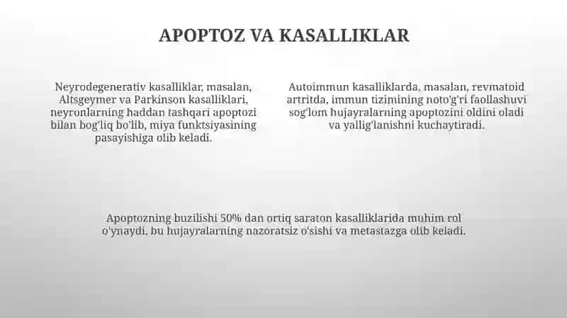 Hujayra apoptozasi va uning bialogik ahamiyati 4