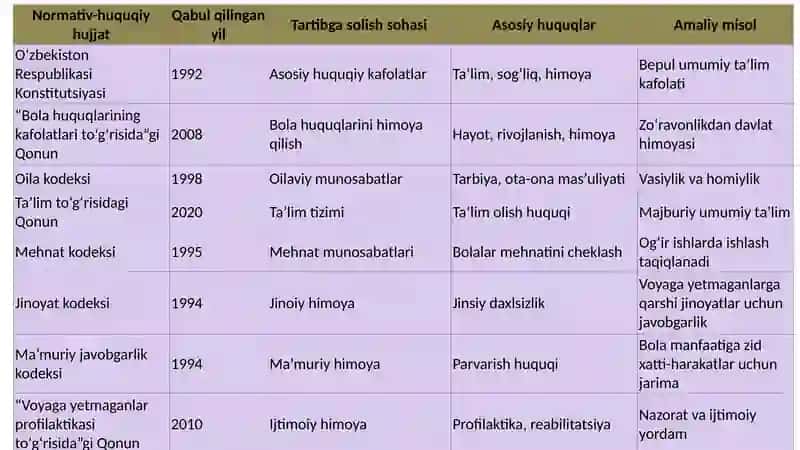 Bolalar huquqini ta’minlash bo‘yicha amaliy qonun chilik 4