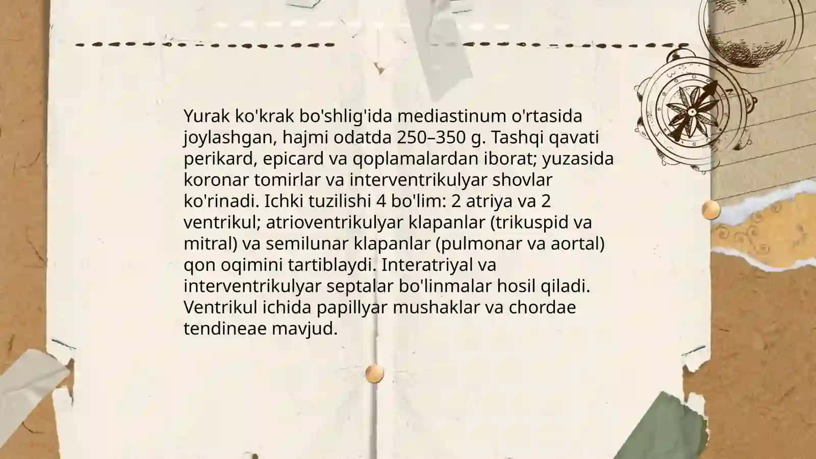 Qon aylanish sistemasi 4