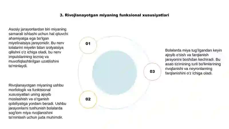 Bolalarda bosh miyaning morfologik va funksional xususiyatlari 4