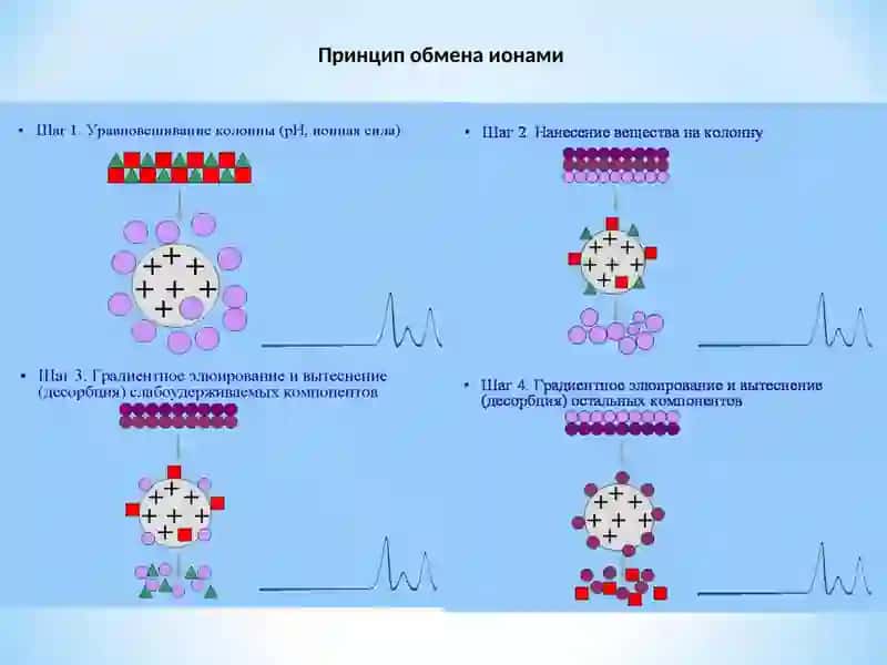 Ионообменная хроматография 4