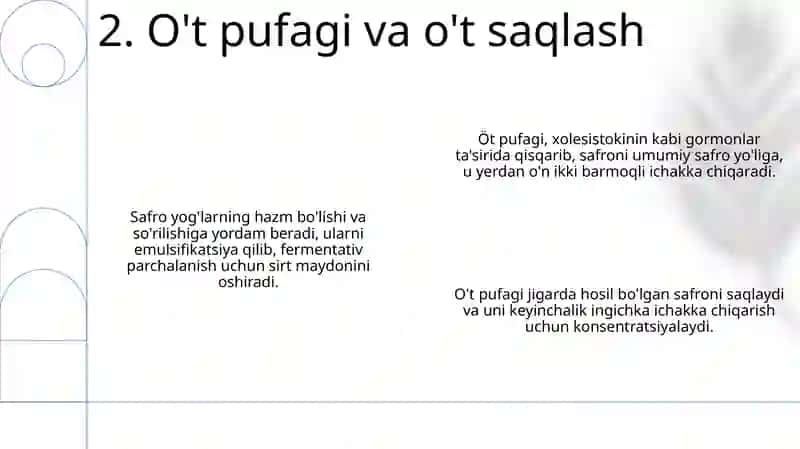 Ovqat hazm qilish tizimi 4