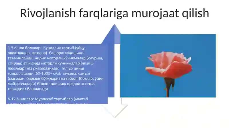 Turli yoshdagi bolalarni kun tartibi va jismoniy,aqliy estetik tarbiyalash 4