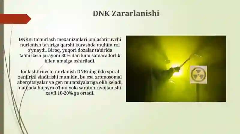Ionlashtiruvchi nurlarning biologik effekti( Radiologiya fanidan) 4