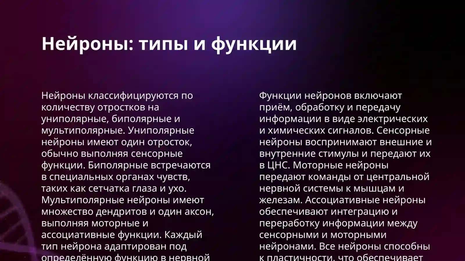 НЕРВНАЯ ТКАНЬ. НЕРВНЫЕ ОКОНЧАНИЯ, СИНАПСЫ, НЕРВНЫЕ ВОЛОКНА ГИСТОЛОГИЧЕСКИЙ АНАЛИЗ 4