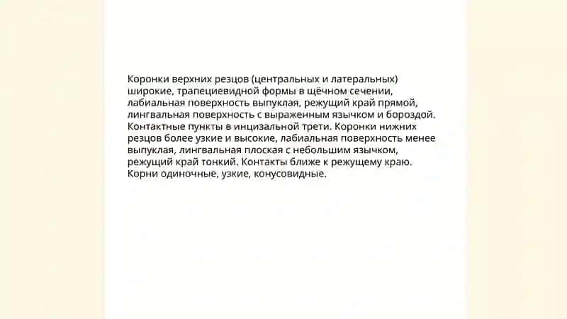 Морфология коронок верхних и нижних резцов 4