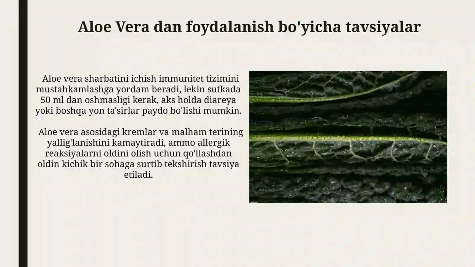 Aloe Vera O'simligining Shifobaxsh Xususiyatlari 4
