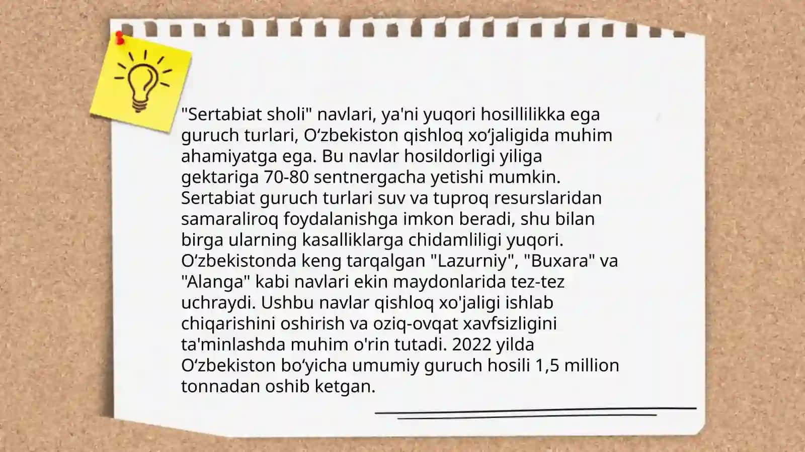 Sholi oʻsimligi 4