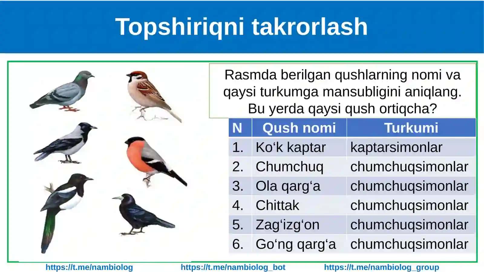 Itning tashqi tuzilishi, skeleti va muskullari 4