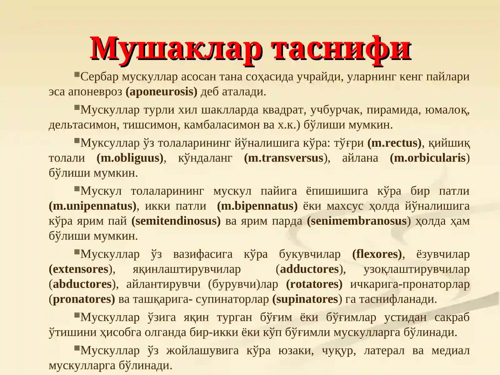 Мушаклар хакида таълимот – миология. Гавданинг орқа гуруҳ юза ва чуқур гуруҳ мушаклари.Уларнинг ёшга қараб ўзгариши 4