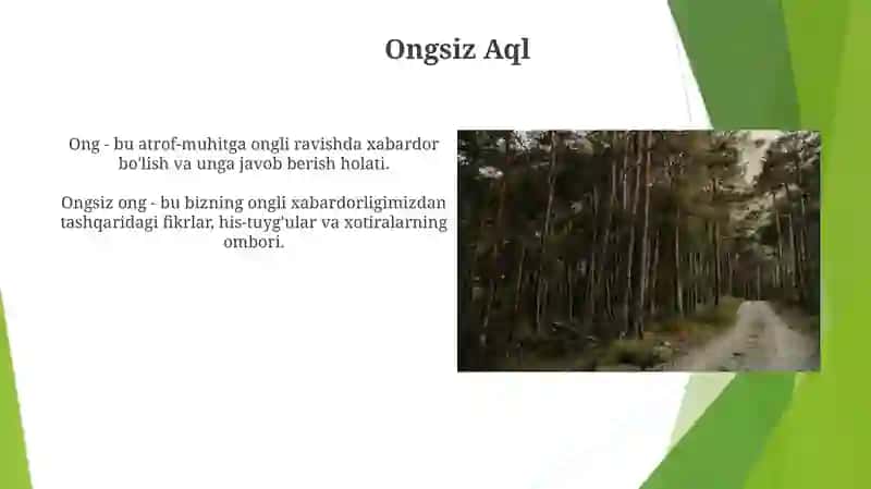 Ong taraqqiyoti va ongsizlik 4