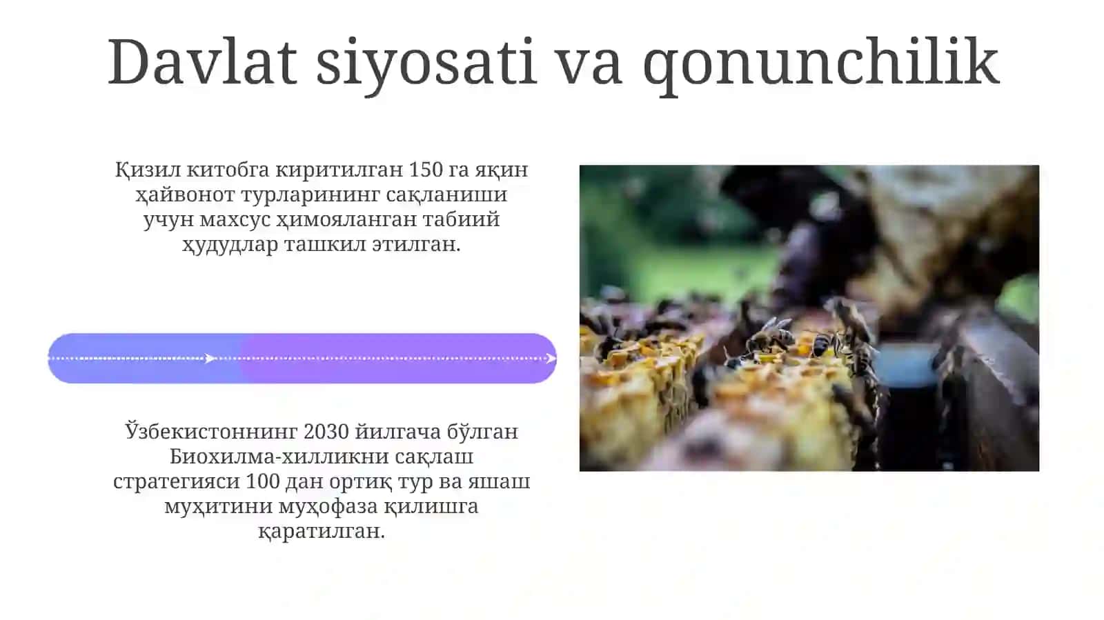 Biologik xilma-xillikni muxofaza qilish 4