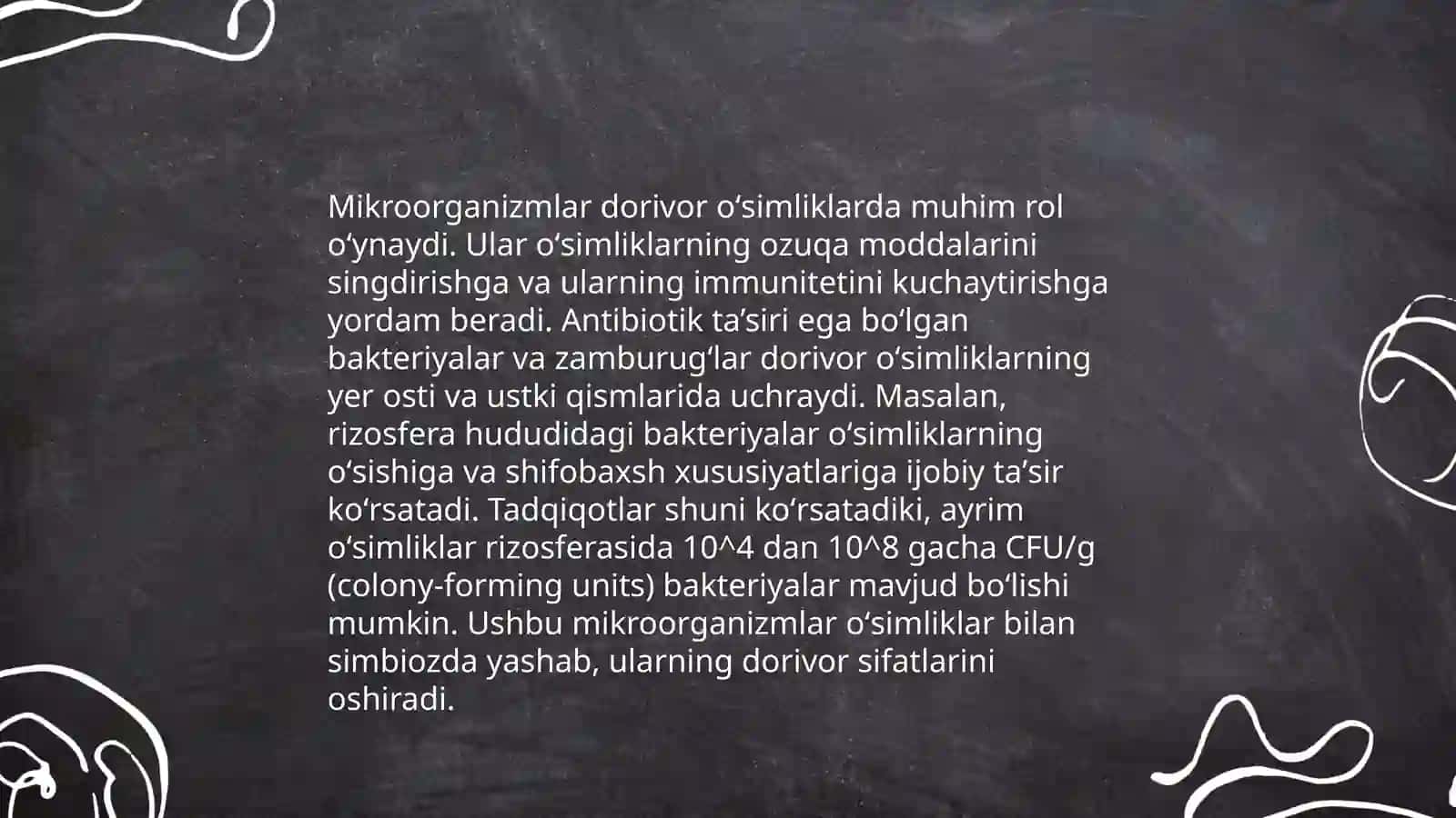 Dorivor oʻsimliklar xomashyosining mikroflorasi 4