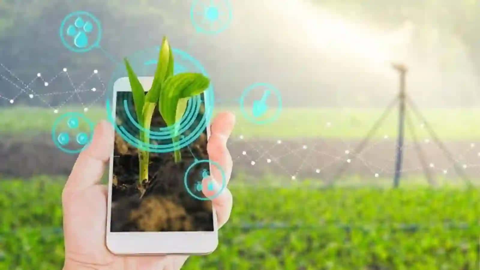 Qishloq xo’jaligida raqamli innovatsion markazlar 4