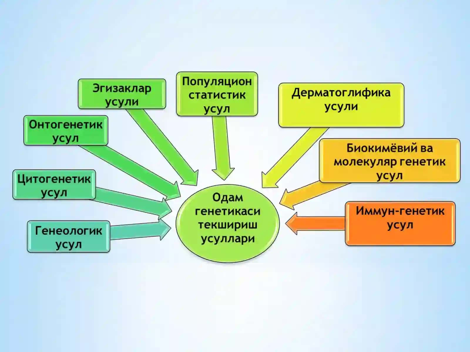 Одам генетикаси ва тиббий генетика 4