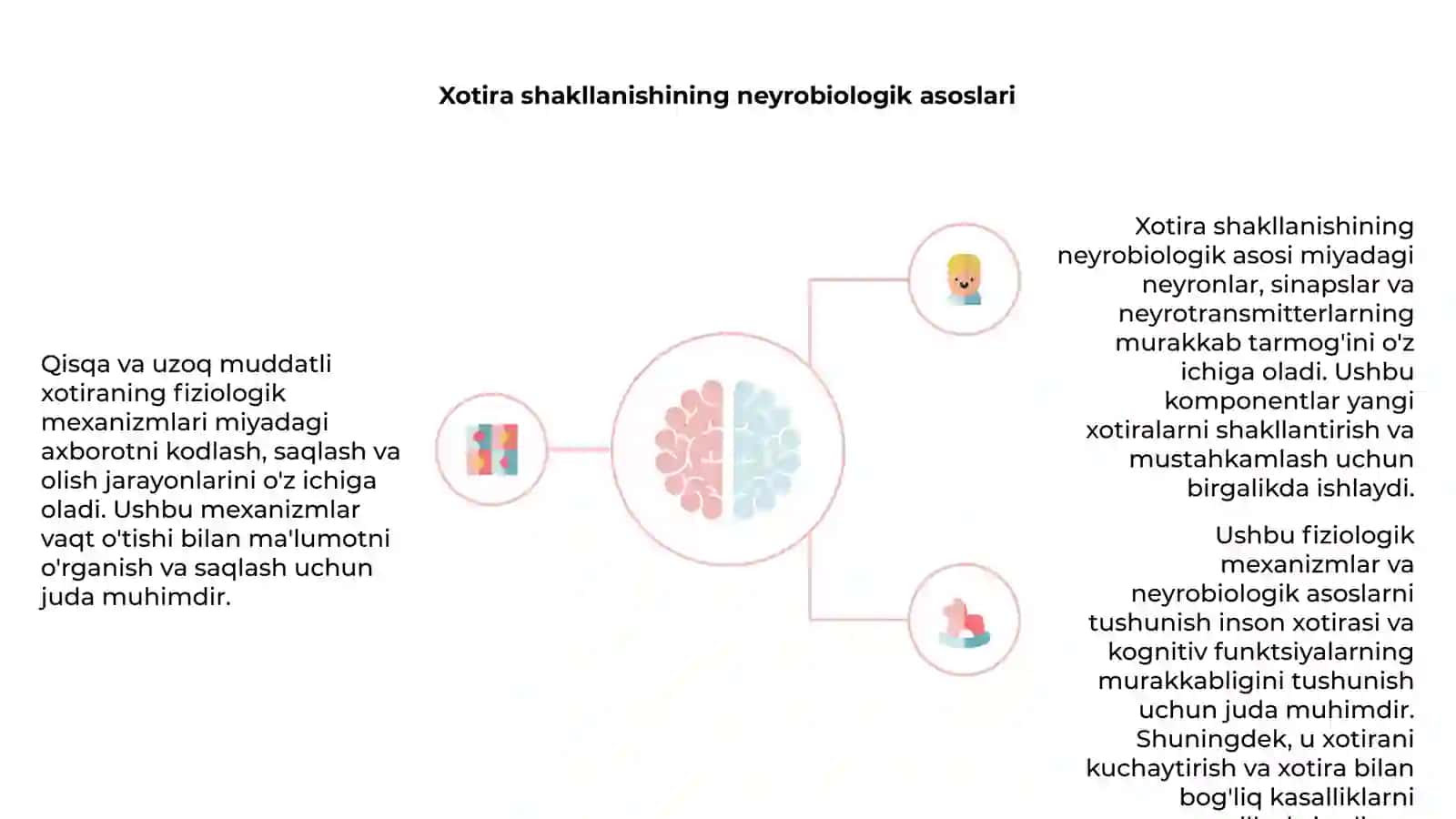 Qisqa va uzoq muddatli xotiraning fiziologik mexanizmlari 4