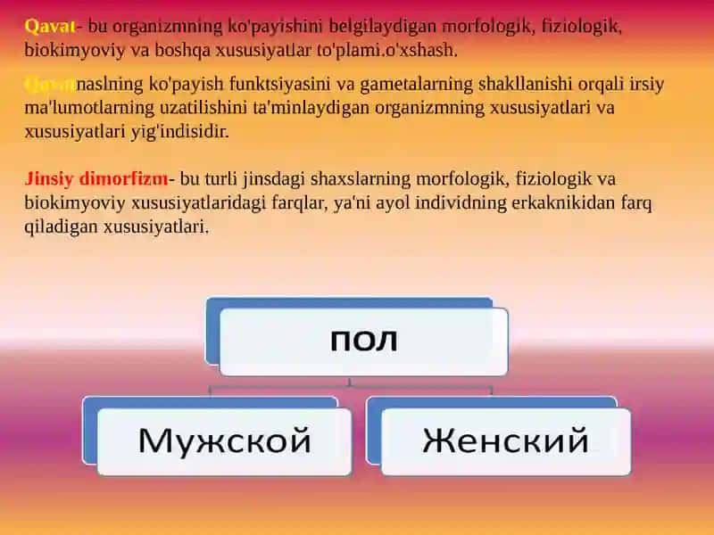 JINSGA BIRIKKAN GEN KASALIKLARI 4